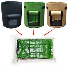 Plant Kits on sale Aihontai Sweet Potato Plant Growing Kits