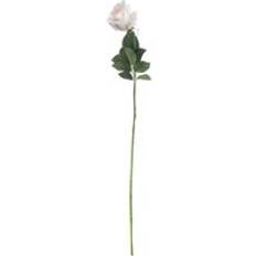 Single Stem Tea Rose 65cm