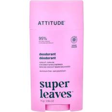 Super Leaves Deodorant Coconut Berries 2.64 oz