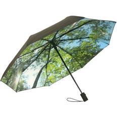 Umbrella Forest - Multi