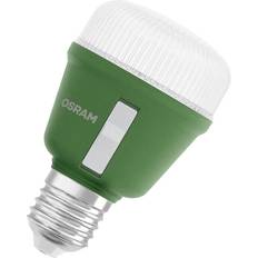 Osram Vækstlys Osram LED Star LED Spot E27 T60 10W 330lm 110D