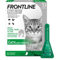 Frontline Cats Pets Frontline Plus Spot-On Flea & Tick Treatment 1 pack
