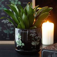 Pots, Plants & Cultivation Gothic Homeware Poisonous Plants Ceramic Plant Pot ∅30.5cm