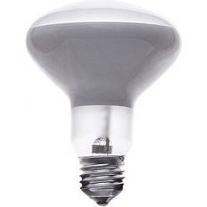 Flos Parentesi LED Ljuskälla Golvlampa