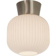Aneta Vanja White/Satin Steel Takplafond ∅ 20cm