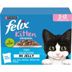 Felix Original Kitten Fish Selection Jelly Wet Cat Food 12x85g Pack 4