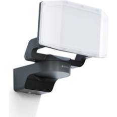 Steinel Bedlamper Steinel Projektør XLED Protect 1600lm 14W Antracit Bedlampe