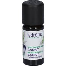 Økologisk Cajeput Æterisk Olie 10ml