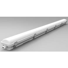 LEDlife Loftlamper LEDlife LED Armatur 160lm W 5000K 150 cm IP66 Loftplafond