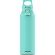 Sigg Hot & Cold ONE Light Light Glacier Water Bottle 0.55L