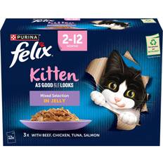 Purina Felix As Good As it Looks Kitten Mixed Selection in Jelly Wet Cat Food 85g 12-pack