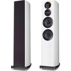 Evo 4.4 White Oak