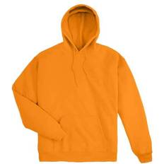 Hanes Men's EcoSmart Fleece Hoodie