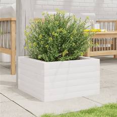 Planter Box White 23cm H x 40cm W x 40cm D