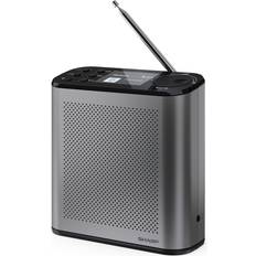 DR-P530 DAB+ BT Radio