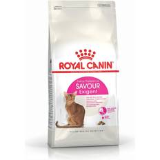 Royal canin savour exigent Royal Canin Savour Exigent Adult Cat Food 10kg