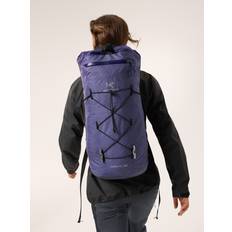 Arc'teryx Rygsække Arc'teryx Alpine Backpack Alpha FL 20 - Soulsonic