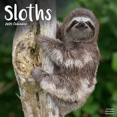 Sloths 2026 Square Animal Wall Calendar 30.5 x 30.5