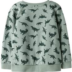 Drenge Sweatshirts Name It Nmmvifelix Ls Nreg Sweatshirt - Pastelgrøn/Mørkegrøn