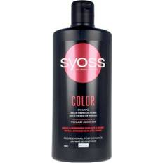  Color Shampoo