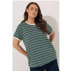 Yours Stripe Ringer T-Shirt Women - Green