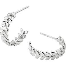 Syster P Örhängen Syster P Layers Olivia Hoops - Silver