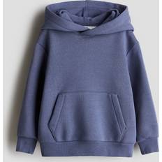 Boys Hoodies H&M Brushed Inside Hoodie - Dusty Blue