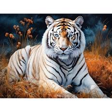 White Diamond Paintings Temu 5D Diamond Painting Kit 30x40cm