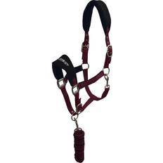 Club Horse Headcollar and Leadrope - Burgundy