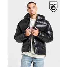 Shiner Padded Jacket Black