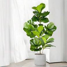 Shein Large Fake Ficus Tree Rubber Plants 70-135 cm Artificial Plant