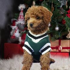 Pet Knit Sweater School Style V Neck Green L
