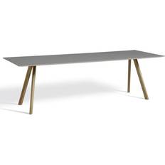 Linoleum Hay CPH 30 Grey Linoleum Dining Table 120x250cm