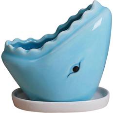 Pots, Plants & Cultivation Furtalk Shark Succulent Planter Pot with Drainage Tray