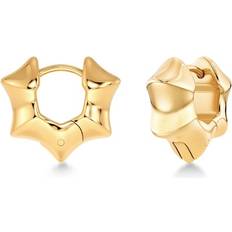 Örhängen Edblad Cane Hoops Multi S Gold Örhängen - NEW