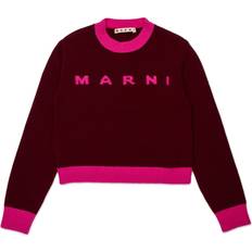 Drenge - Uld Striktrøjer Marni Bluse Strik Berry Jam - Berry Jam