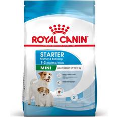 Royal Canin Mini Starter Mother Babydog Dry Food 8kg