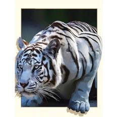 Diamond Paintings Fiyo 5D DIY Diamond Painting Animal Pictures Stitch