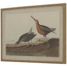 Brown Framed Art Hill Interiors Collection Snipes on Linen Beaded Frame L2 x W62 x H45 cm Framed Art