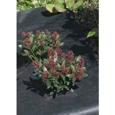 Ambassador Weed Control Fabric