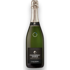 Pinot Noir Vine Chassenay D'Arce Champagne Cuvée Première Brut
