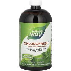 Nature's Way Chlorofresh Liquid Chlorophyll Mint 480ml