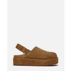 Synthetic Clogs Steve Madden Women's Clogs Mellow - Marron