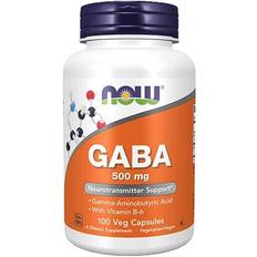 Now Foods GABA 500mg 100 stk