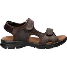 Panama Jack Salton Basics C1 - Brown