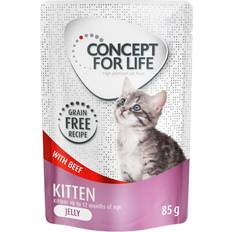 Concept for Life Ekonomipack: Grain Free Kitten Nötkött
