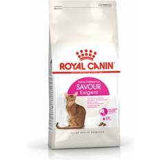 Royal Canin Feline Savour Exigent Adult Dry Cat Food 10kg