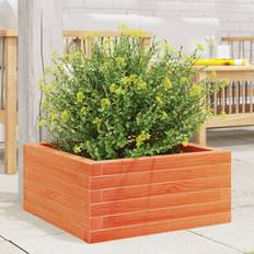 Planter Box Wax Brown 23cm H x 60cm W x 60cm D