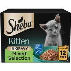 Sheba Wet Food Pets Sheba Mixed Selection Kitten Food in Gravy 12x85g