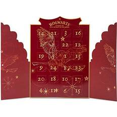 Harry Potter Advent Calendar 2021